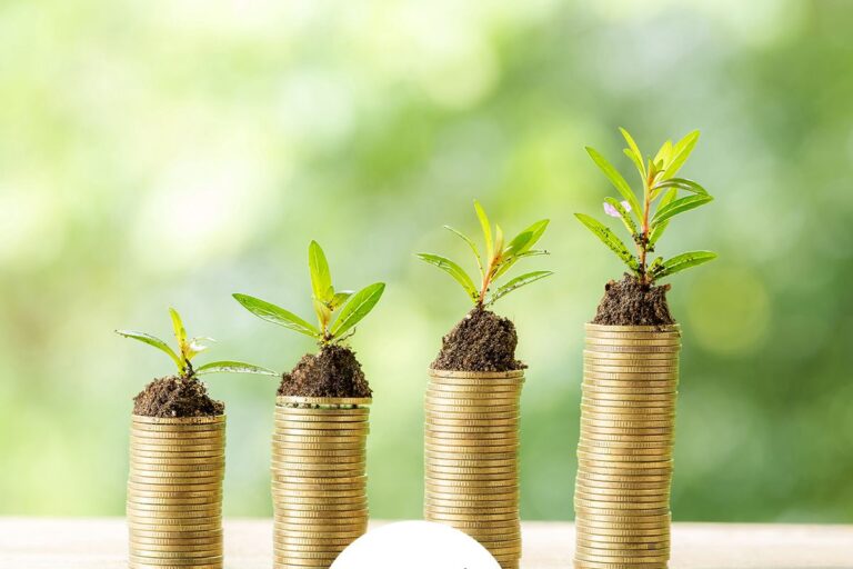 Investasi Kecil, Hasil Besar: Panduan untuk Pemula